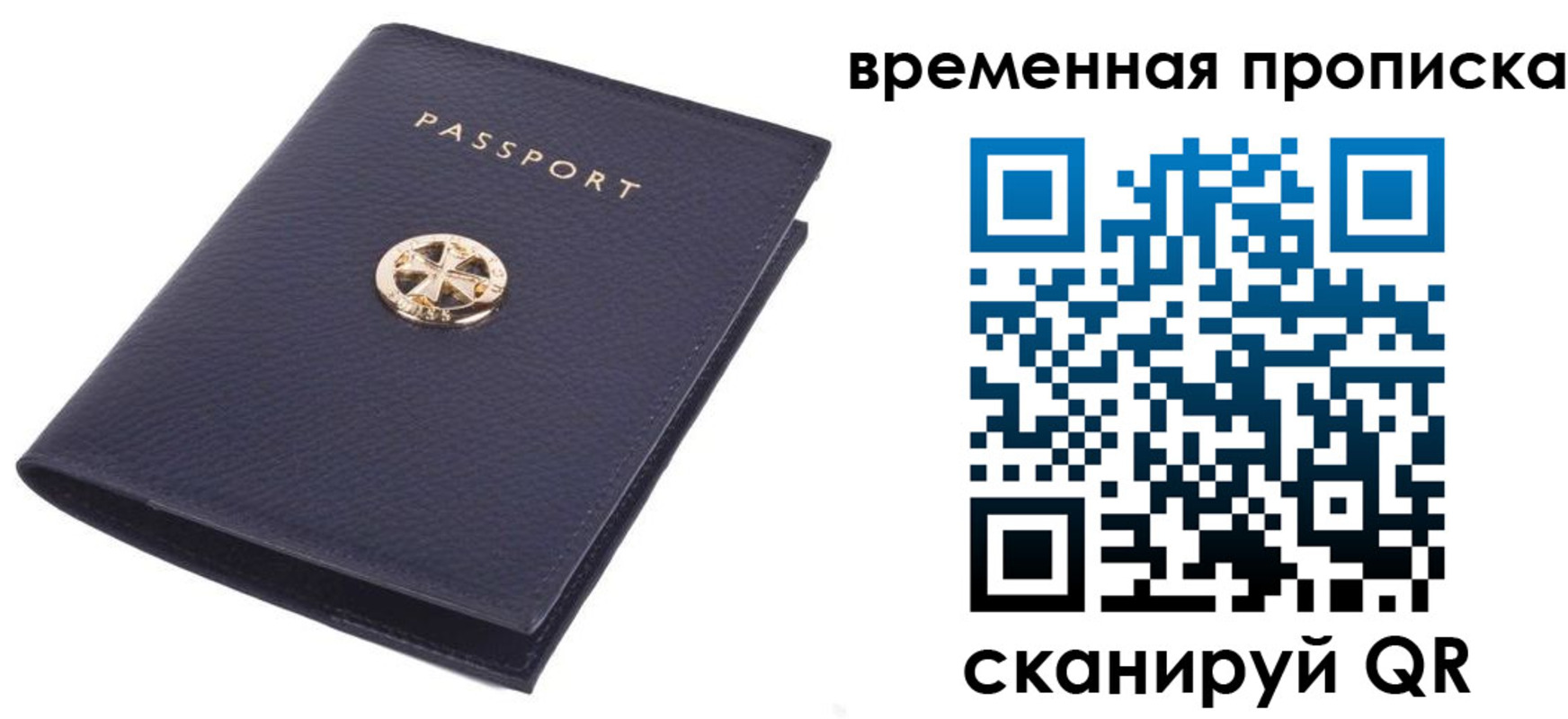прописка для школы в Фрязино